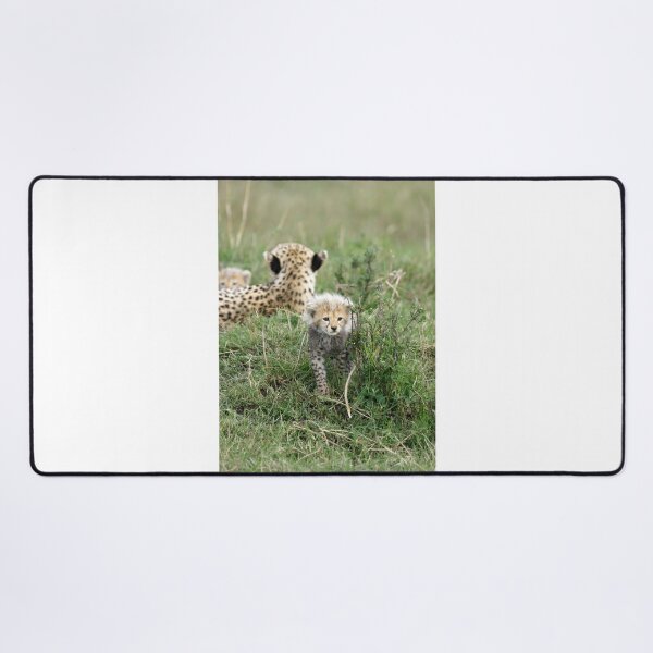 Item preview, The first hunt designed and sold by Yves Roumazeilles (Wild Focus).