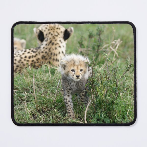Item preview, The first hunt designed and sold by Yves Roumazeilles (Wild Focus).