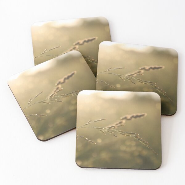 Item preview, Grass in the morning sun designed and sold by ForestgazeArt.