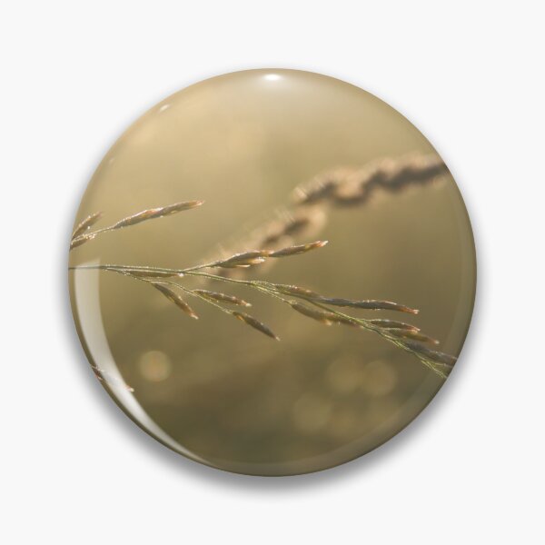 Item preview, Grass in the morning sun designed and sold by ForestgazeArt.