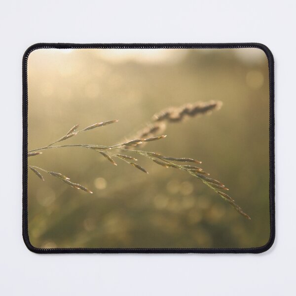 Item preview, Grass in the morning sun designed and sold by ForestgazeArt.