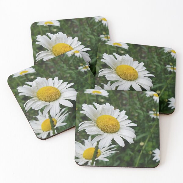 Item preview, Common Daisy Flower  designed and sold by DesignMore21.