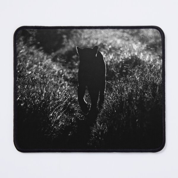 Item preview, Black designed and sold by Yves Roumazeilles (Wild Focus).