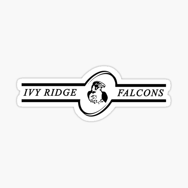 Aperçu de l'œuvre Faucons de IVY RIDGE créée et vendue par I HEART SPORTS.