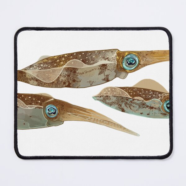 Item preview, Caribbean Reef Squids designed and sold by Scrub and Sea.
