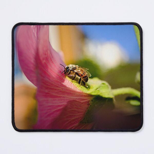 Item preview, Bee on flower designed and sold by Bionic Images.