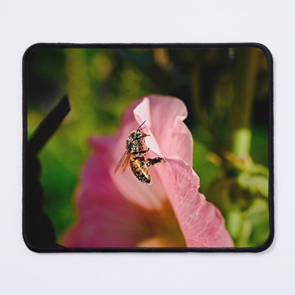 Item preview, Bee Hanging On designed and sold by Bionic Images.
