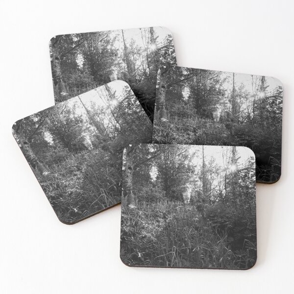 Item preview, The Morning Path to the Sun bw designed and sold by Jouko Lehto Photography.