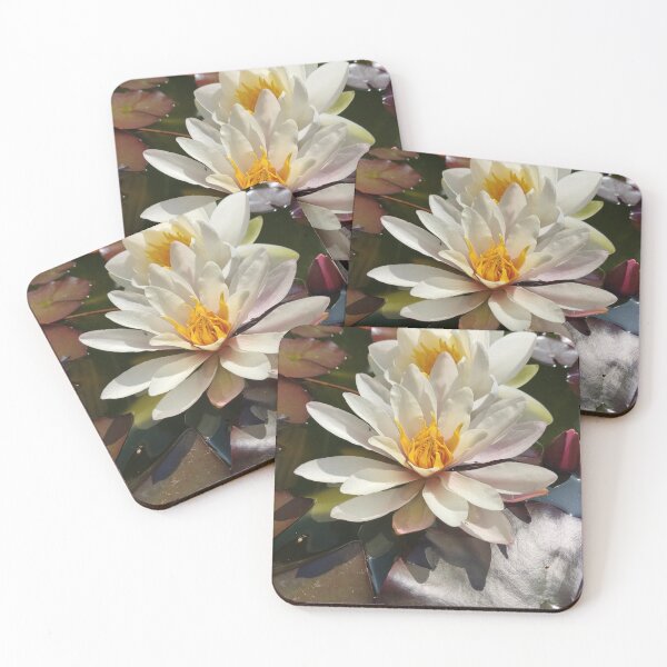 Item preview, White waterlilies in the sun photograph  designed and sold by esvb.