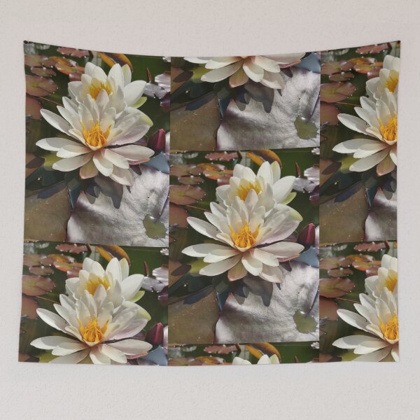 Item preview, White waterlilies in the sun photograph  designed and sold by esvb.
