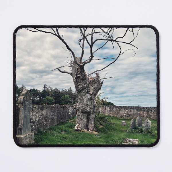 Item preview, Lightning Tree in Creepy Graveyard designed and sold by Tom McPherson Photography.