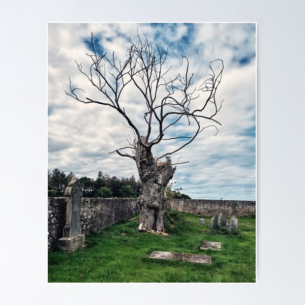 Item preview, Lightning Tree in Creepy Graveyard designed and sold by Tom McPherson Photography.
