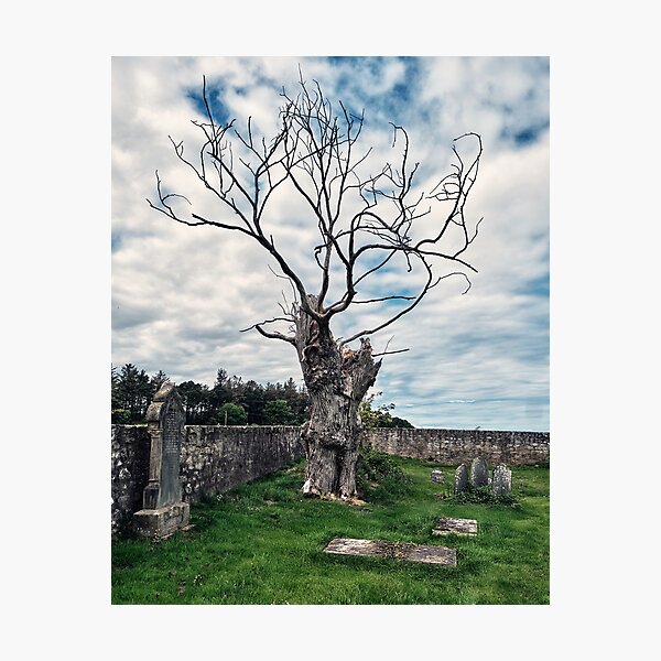 Artikelvorschau, Blitzbaum im gruseligen Friedhof entworfen und verkauft von Tom McPherson Photography.