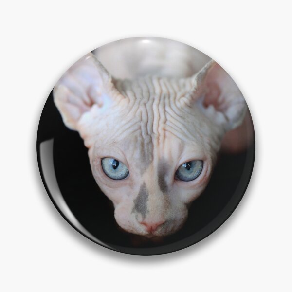 Item preview, Portrait of cute sphinx cat designed and sold by olena2552.