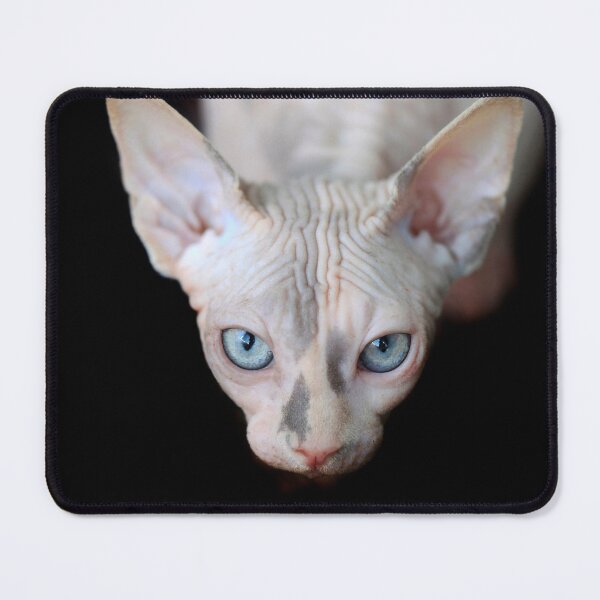 Item preview, Portrait of cute sphinx cat designed and sold by olena2552.