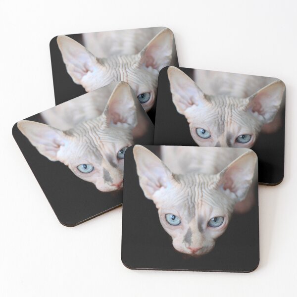 Item preview, Portrait of cute sphinx cat designed and sold by olena2552.