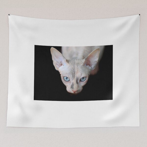 Item preview, Portrait of cute sphinx cat designed and sold by olena2552.