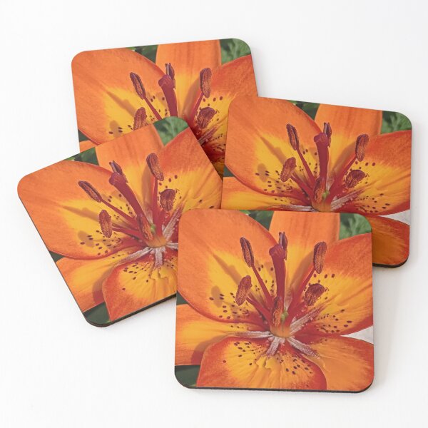 Item preview, Homegrown's All Right With Me, June 2025 designed and sold by RedHillDigital.