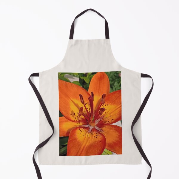 Item preview, Homegrown's All Right With Me, June 2025 designed and sold by RedHillDigital.