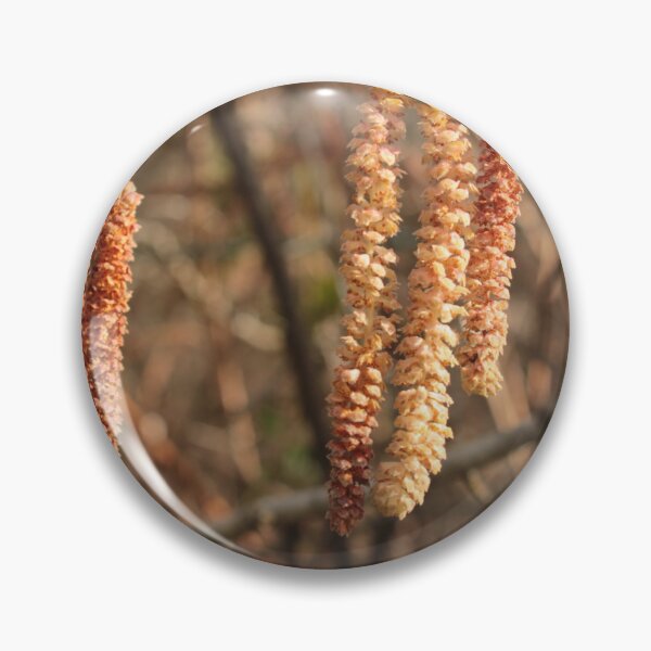 Item preview, Catkins, Wales designed and sold by Kate Anderson Art.
