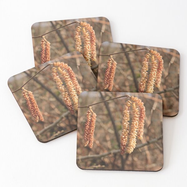 Item preview, Catkins, Wales designed and sold by Kate Anderson Art.