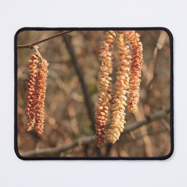 Item preview, Catkins, Wales designed and sold by Kate Anderson Art.