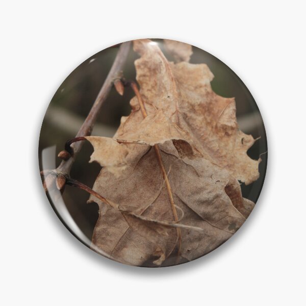 Item preview, Dried Oak Leaf designed and sold by Kate Anderson Art.