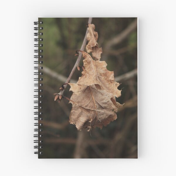 Item preview, Dried Oak Leaf designed and sold by Kate Anderson Art.