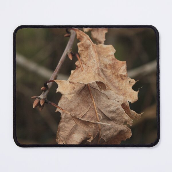 Item preview, Dried Oak Leaf designed and sold by Kate Anderson Art.