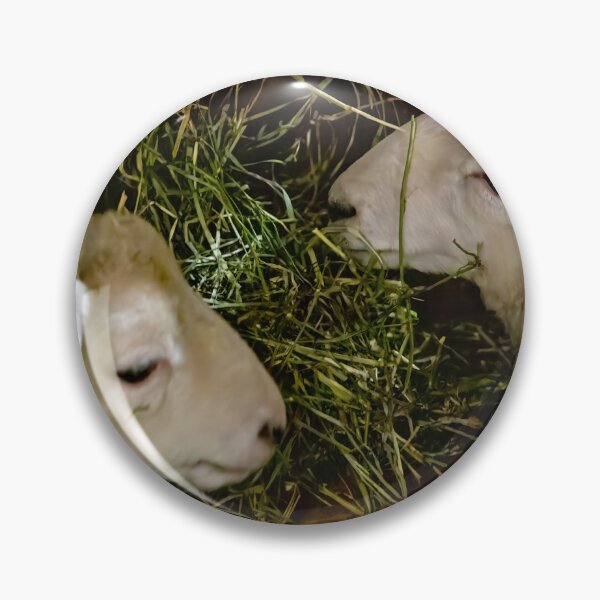 Item preview, Sheep at Riverdale Farm 2 designed and sold by jrtwynam.