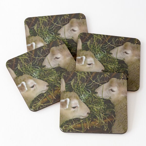 Item preview, Sheep at Riverdale Farm 2 designed and sold by jrtwynam.