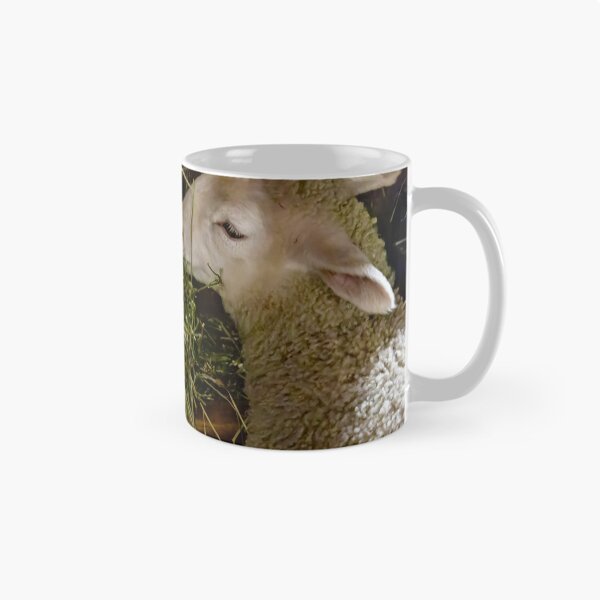 Item preview, Sheep at Riverdale Farm 2 designed and sold by jrtwynam.