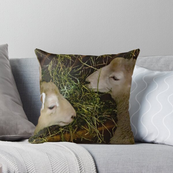 Item preview, Sheep at Riverdale Farm 2 designed and sold by jrtwynam.
