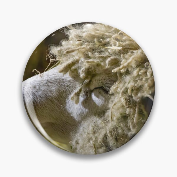 Item preview, Sheep at Riverdale Farm 3 designed and sold by jrtwynam.