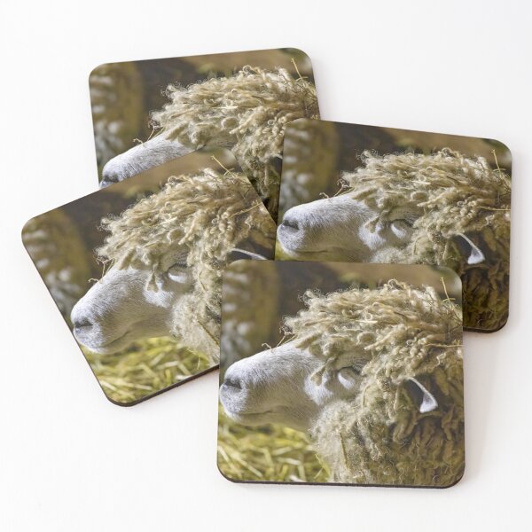 Item preview, Sheep at Riverdale Farm 3 designed and sold by jrtwynam.