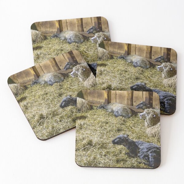 Item preview, Sheep at Riverdale Farm 4 designed and sold by jrtwynam.