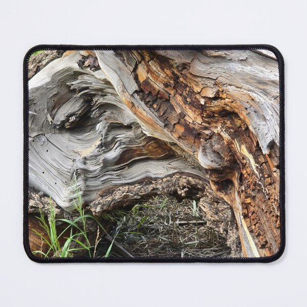 Item preview, Stumped  designed and sold by NatureAndHome.
