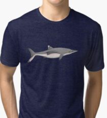 Neonate Ichthyosaurus communis Tri-blend T-Shirt
