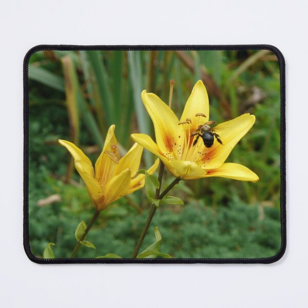 Item preview, Bee Landing on a Tiger Lily designed and sold by M0m0rae.
