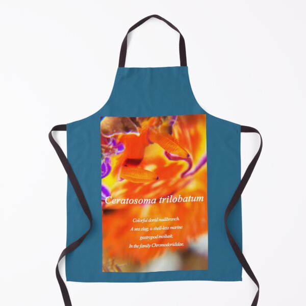 Item preview, Colorful Nudibranch designed and sold by tank200bar.