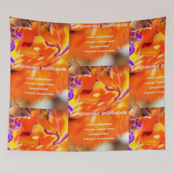 Item preview, Colorful Nudibranch designed and sold by tank200bar.
