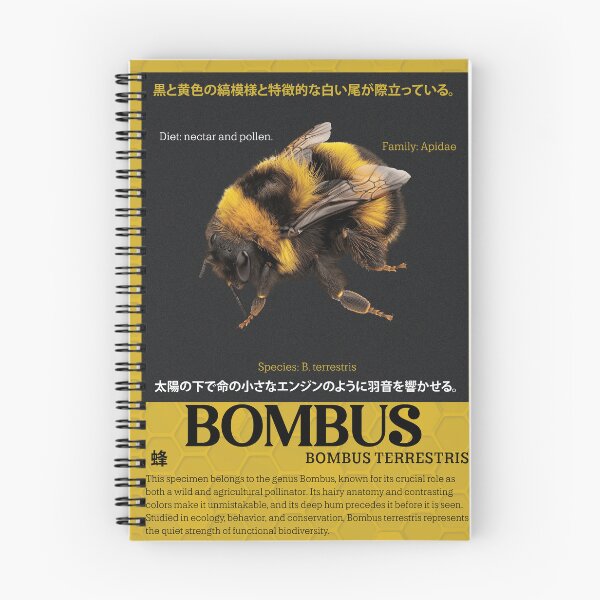 Item preview, Bee cute Bombus terrestris – Scientific Insect Poster designed and sold by EntomoArchive.