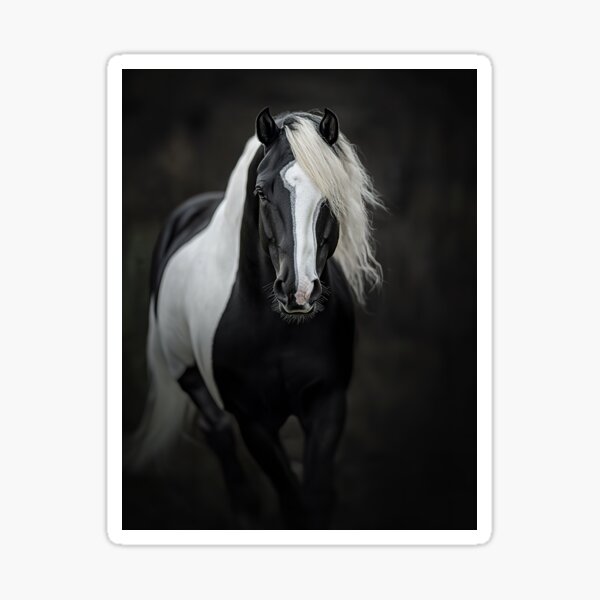 Item preview, Black Paint Horse portrait designed and sold by CritterWisdom.