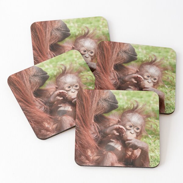 Item preview, Orangutan Baby Cuddled Up on Mum designed and sold by rawshutterbug.