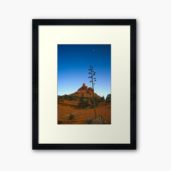 Moon Rise Over Bell Rock Framed Art Print