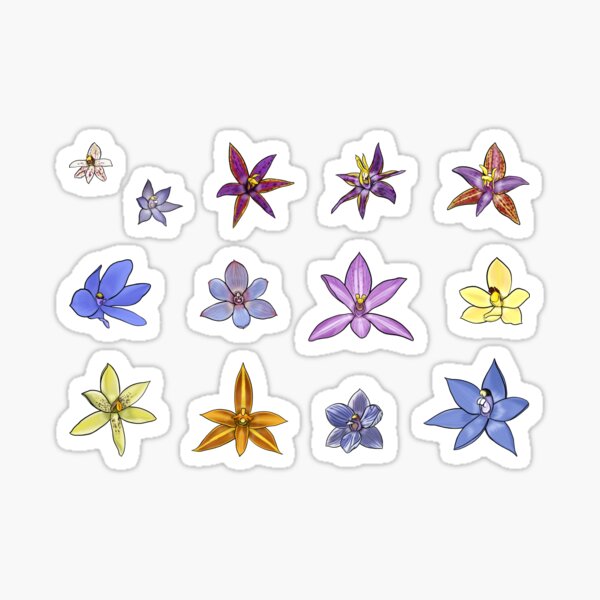 Item preview, Western Australian Sun Orchid Pattern designed and sold by JoWillmot.