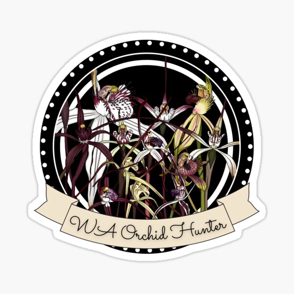 Item preview, Western Australian Spider Orchid Hunter  designed and sold by JoWillmot.
