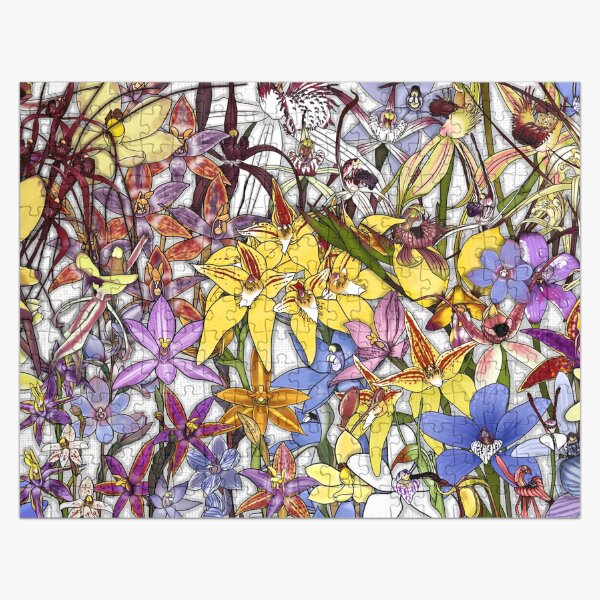 Item preview, The Native Orchids of Western Australia Collage designed and sold by JoWillmot.
