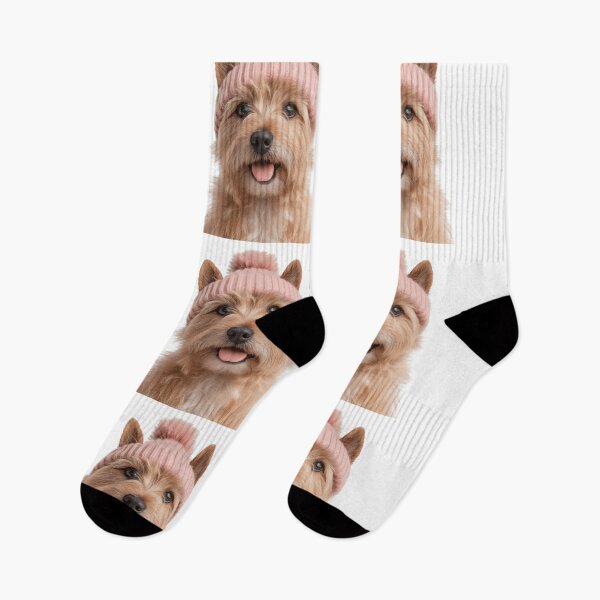 Item preview, Cozy Norwich Terrier dog Wearing Pink Winter Hat Trendy Animal Fashion Artwork designed and sold by LazyOwlStore.