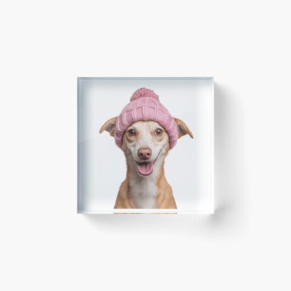 Item preview, Cozy Portuguese Podengo dog Wearing Pink Winter Hat Trendy Animal Fashion Artwork designed and sold by LazyOwlStore.